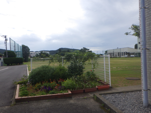 f:id:kuchinotsu:20180721144103j:plain