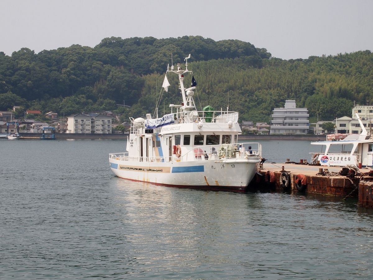 f:id:kuchinotsu:20190624115426j:plain
