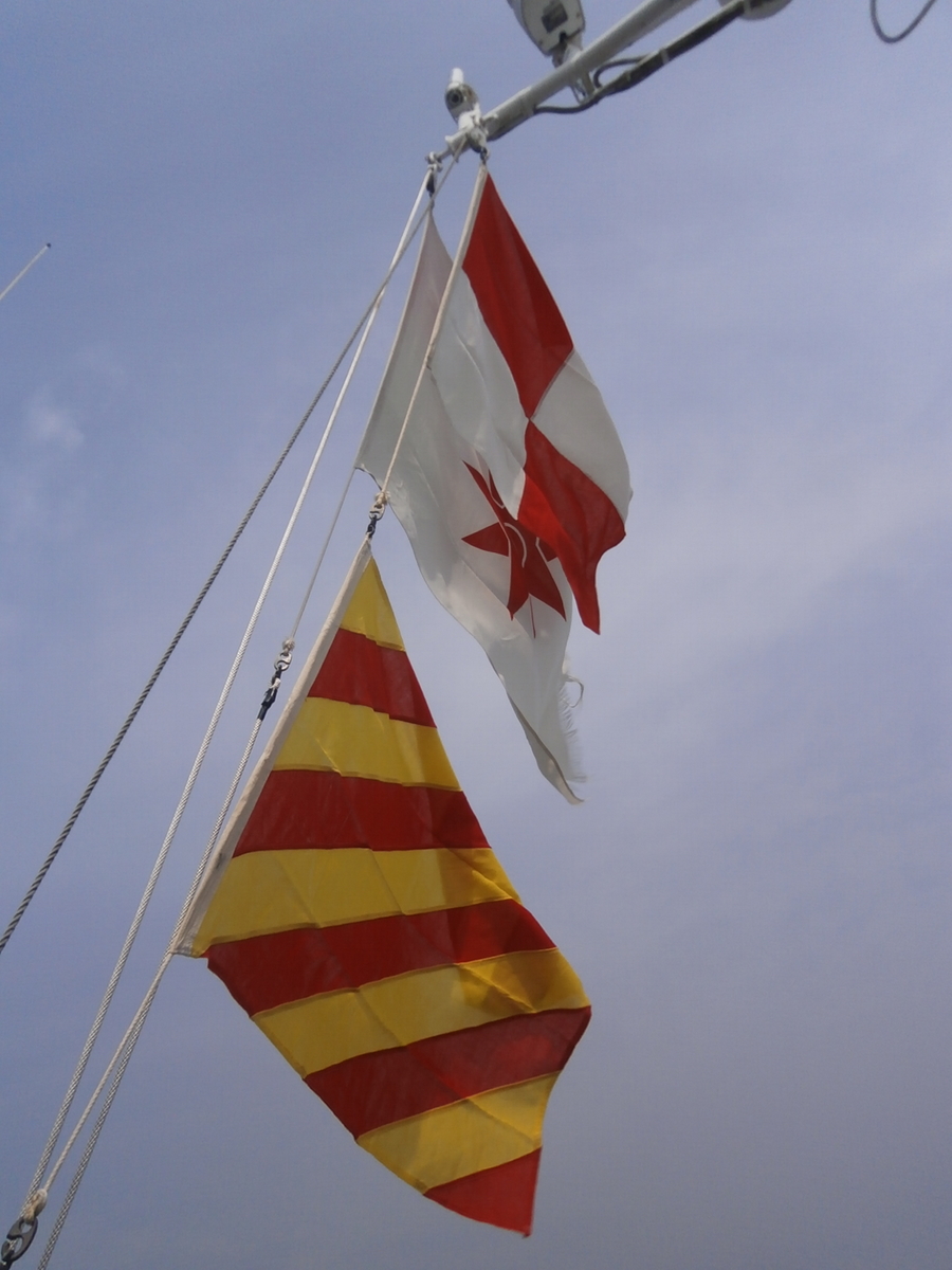 f:id:kuchinotsu:20200805164301j:plain