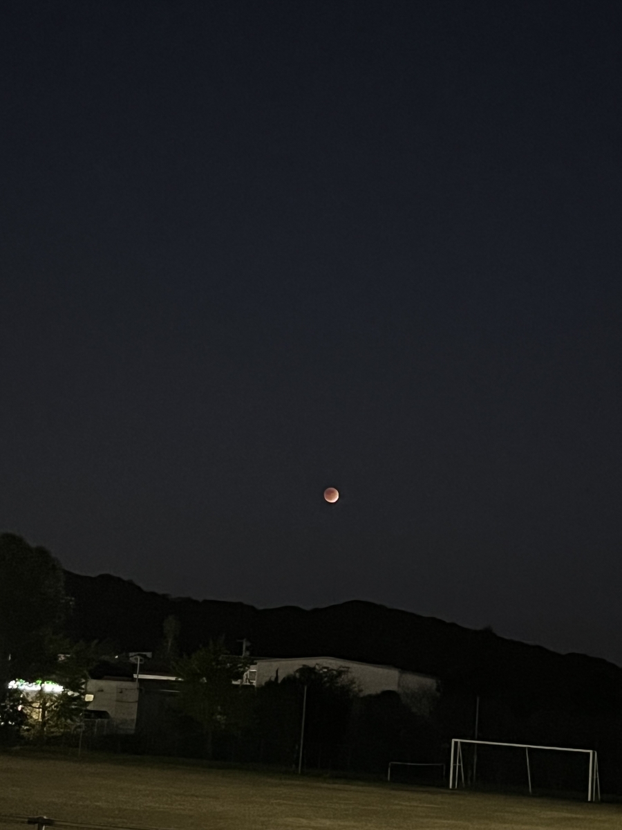 f:id:kuchinotsu:20211120171702j:plain