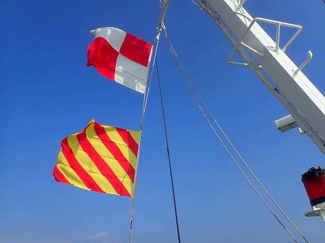 f:id:kuchinotsu:20220127101540j:plain