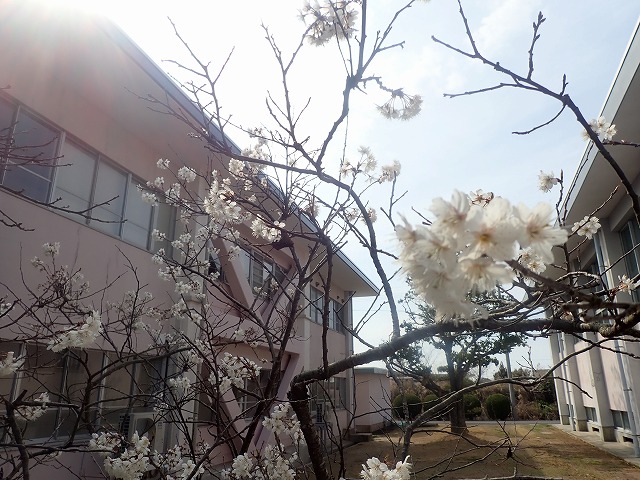f:id:kuchinotsu:20220313154517j:plain