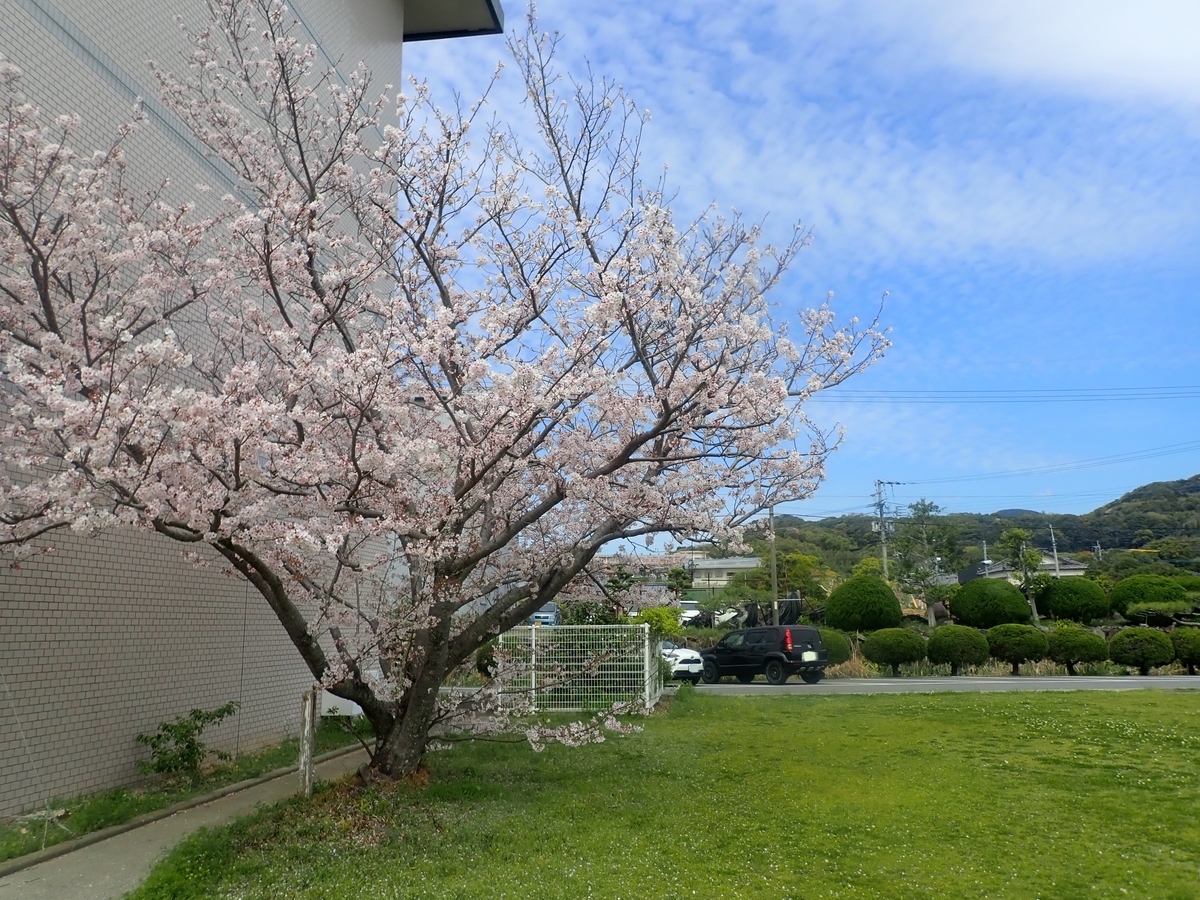 f:id:kuchinotsu:20220406182603j:plain