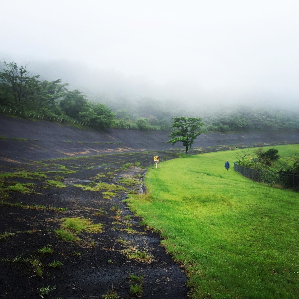 f:id:kucrt:20190701191243j:plain f:id:kucrt:20190701191243j:plain