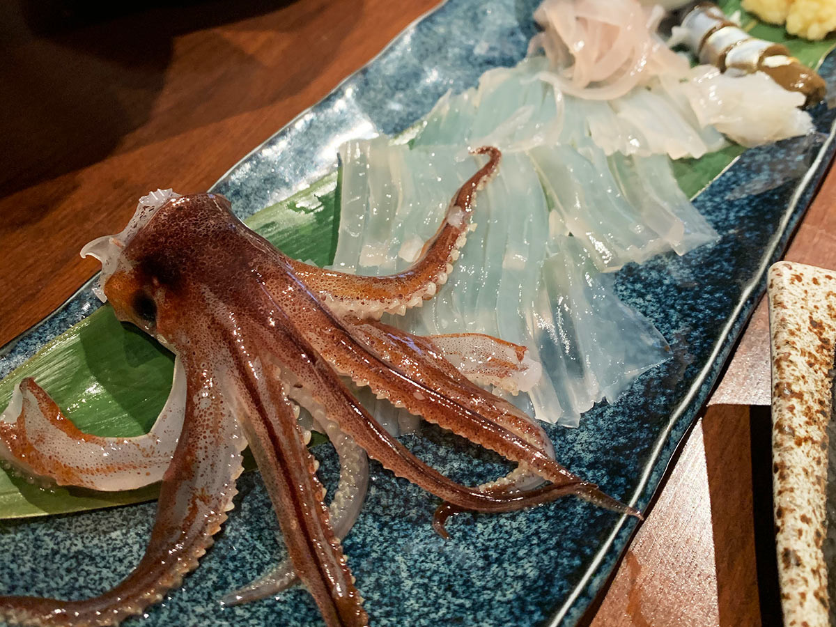 f:id:kudakurage:20201028173949j:plain