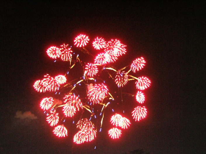 f:id:kufe:20090726000542p:image