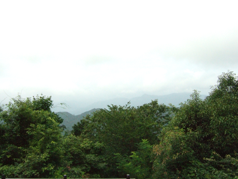 f:id:kufe:20090816234210p:image