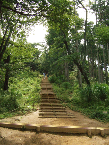 f:id:kufe:20090817001122p:image