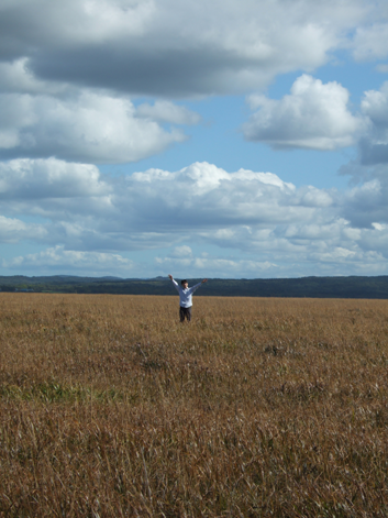 f:id:kufe:20090927230813p:image