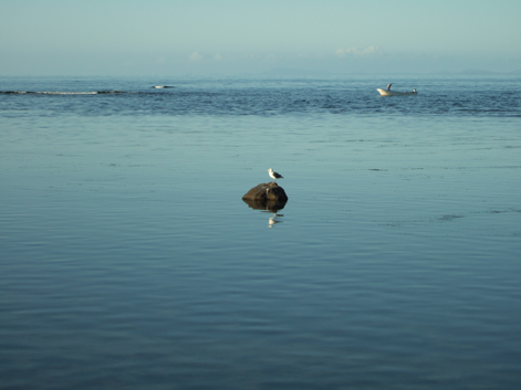 f:id:kufe:20090927231155p:image