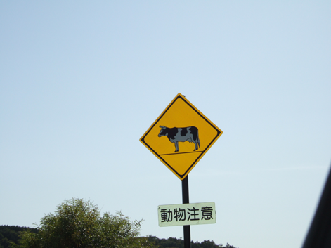 f:id:kufe:20090927231454p:image