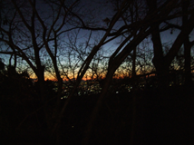 f:id:kufe:20100101103838p:image