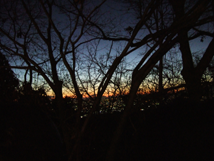 f:id:kufe:20100101103849p:image