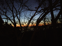 f:id:kufe:20100101103901p:image