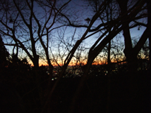 f:id:kufe:20100101103945p:image