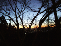 f:id:kufe:20100101104008p:image