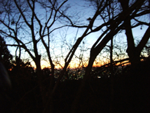 f:id:kufe:20100101104021p:image