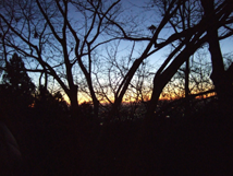 f:id:kufe:20100101104047p:image