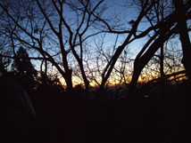 f:id:kufe:20100101104058p:image