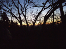 f:id:kufe:20100101104110p:image