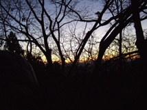 f:id:kufe:20100101104150p:image