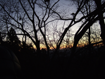 f:id:kufe:20100101104158p:image