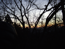 f:id:kufe:20100101104206p:image