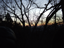 f:id:kufe:20100101104241p:image
