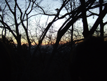 f:id:kufe:20100101104248p:image