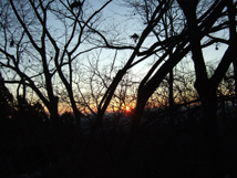 f:id:kufe:20100101104256p:image