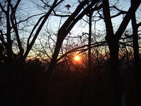 f:id:kufe:20100101104319p:image