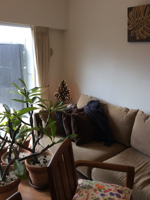 f:id:kuge-numa:20141222122946j:image:h320