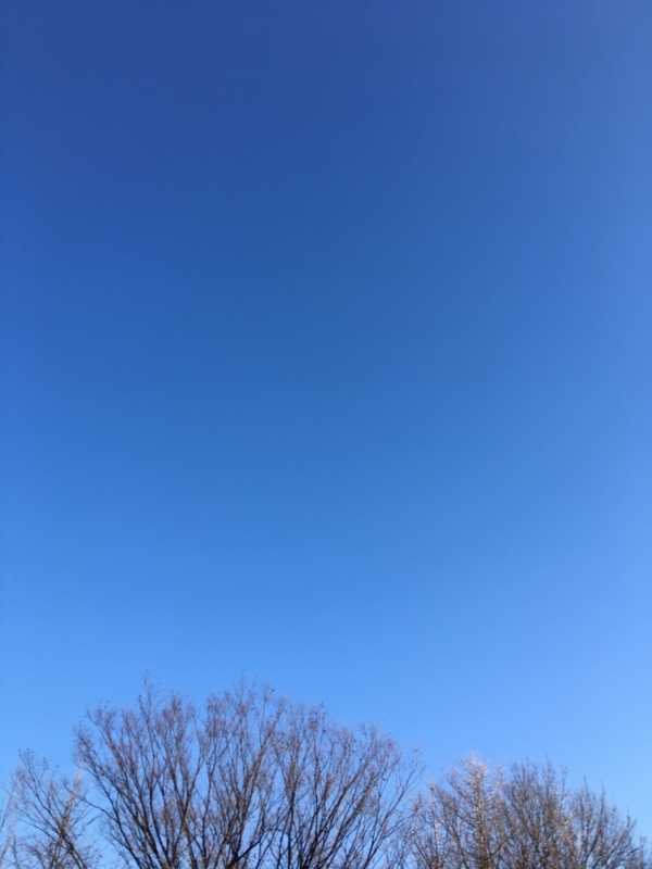 f:id:kuge-numa:20180206074854j:image:w360 f:id:kuge-numa:20180206074854j:image:w360