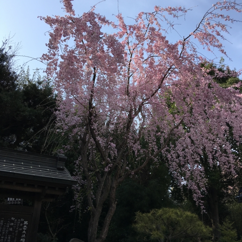 f:id:kuge-numa:20180401154207j:image:w360 f:id:kuge-numa:20180401154207j:image:w360