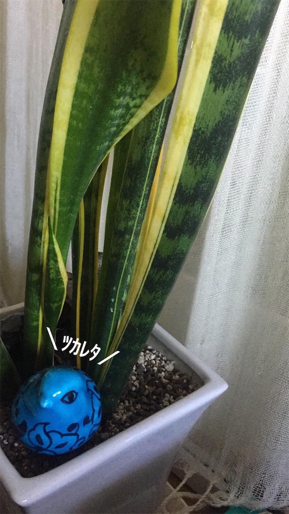 f:id:kuhmai:20190727144817j:plain