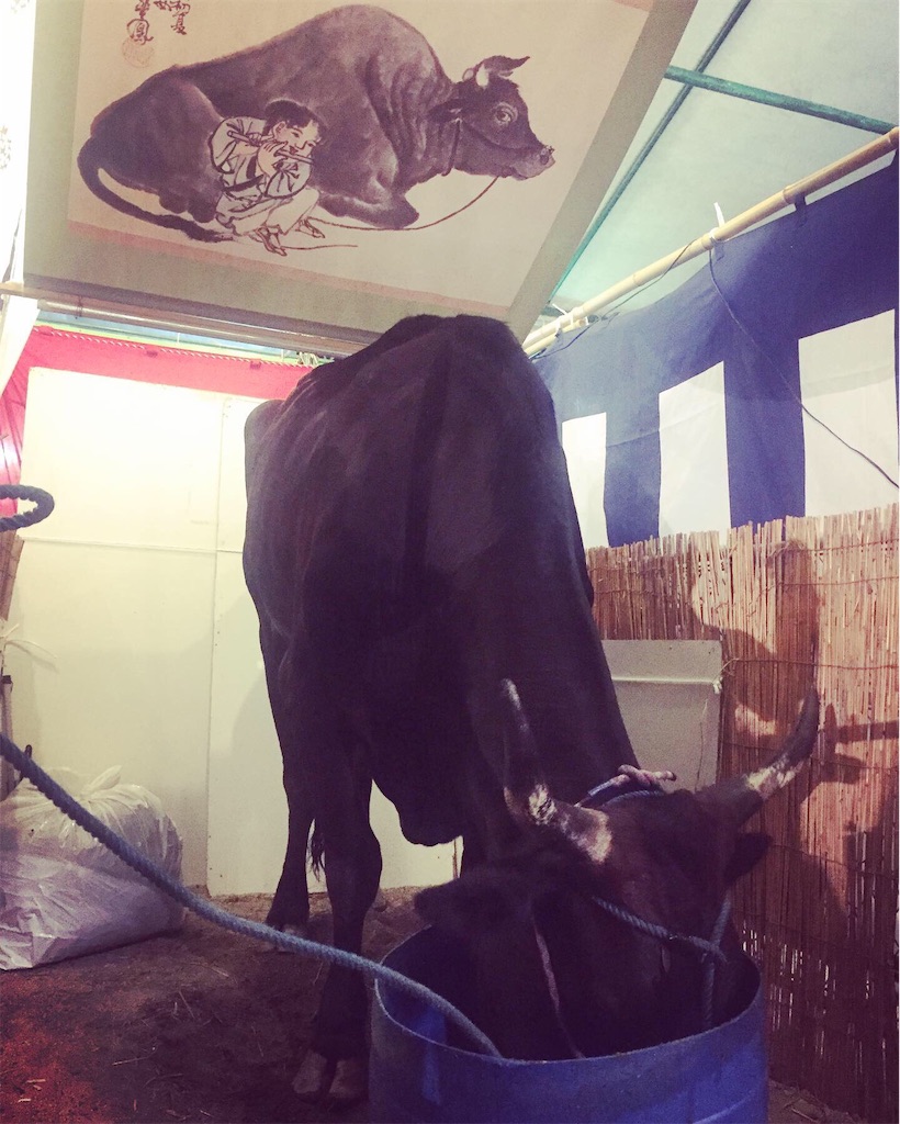 f:id:kuhmai:20190803130617j:image