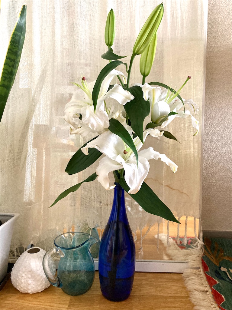 f:id:kuhmai:20201218110326j:image f:id:kuhmai:20201218110326j:image