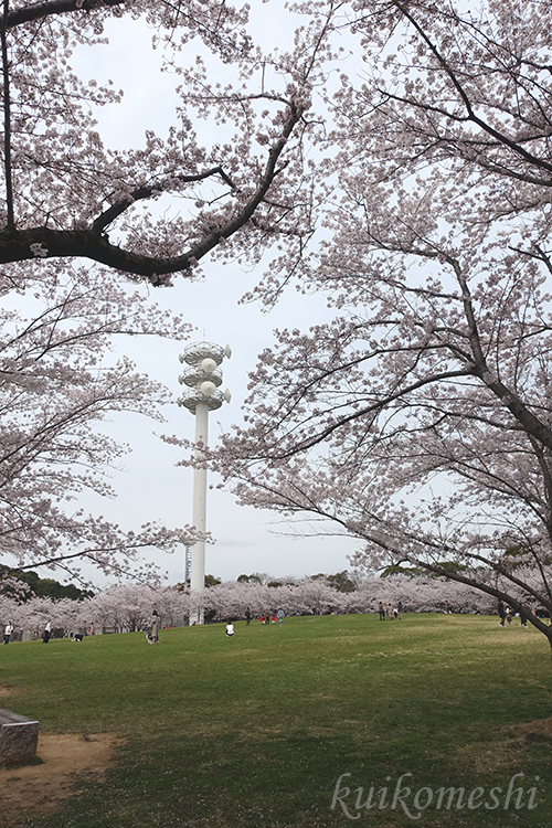 f:id:kuikomeshi:20220408100815j:plain