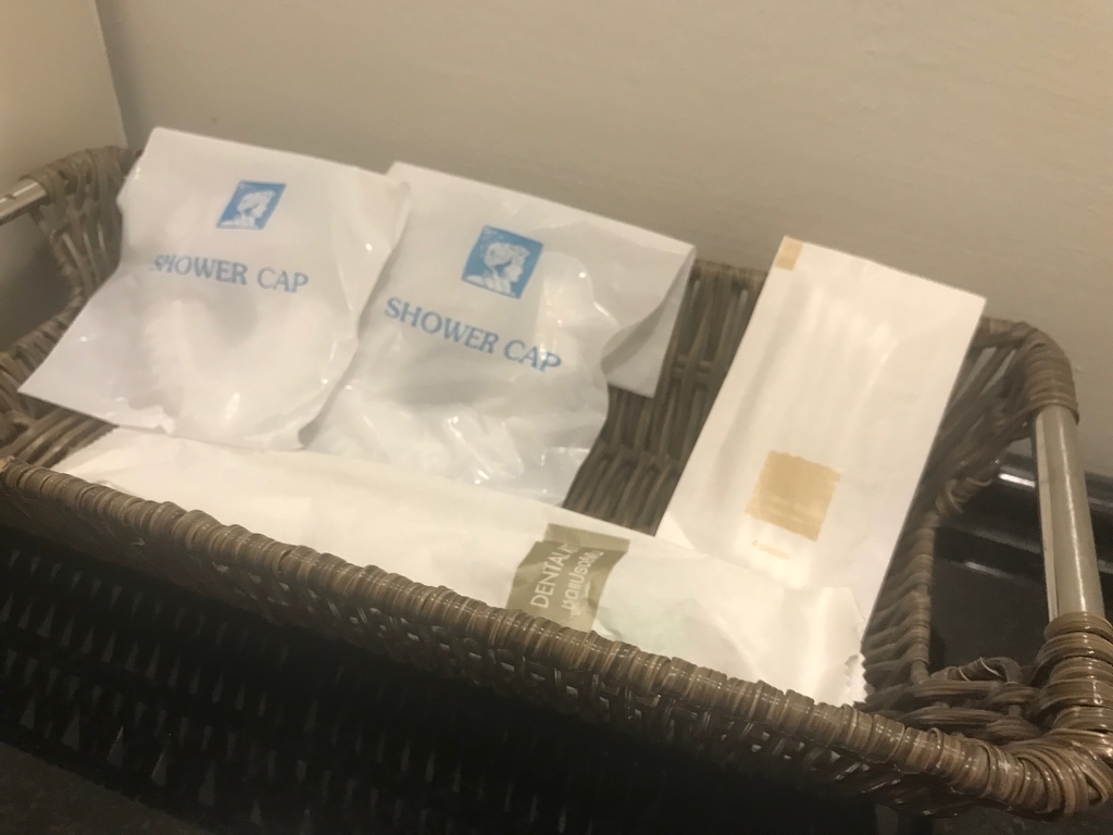 f:id:kuishin-bocchi:20190209023047j:plain