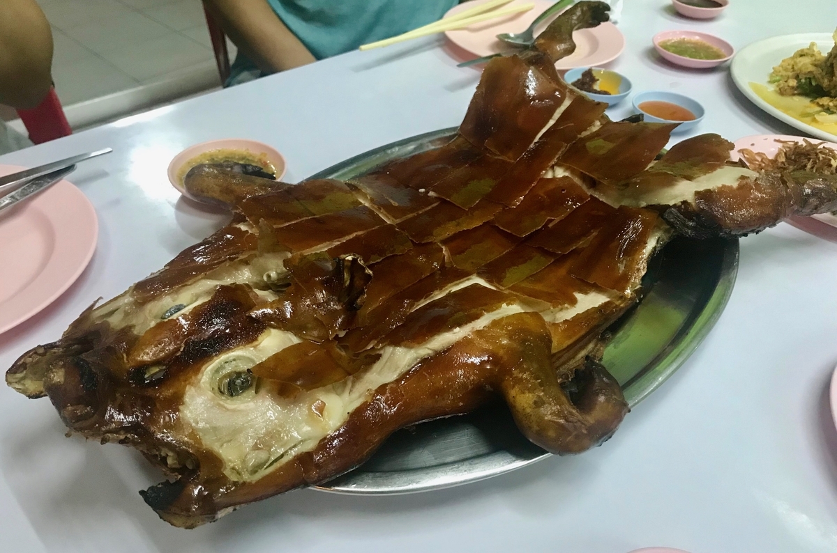 f:id:kuishin-bocchi:20190318170109j:plain f:id:kuishin-bocchi:20190318170109j:plain