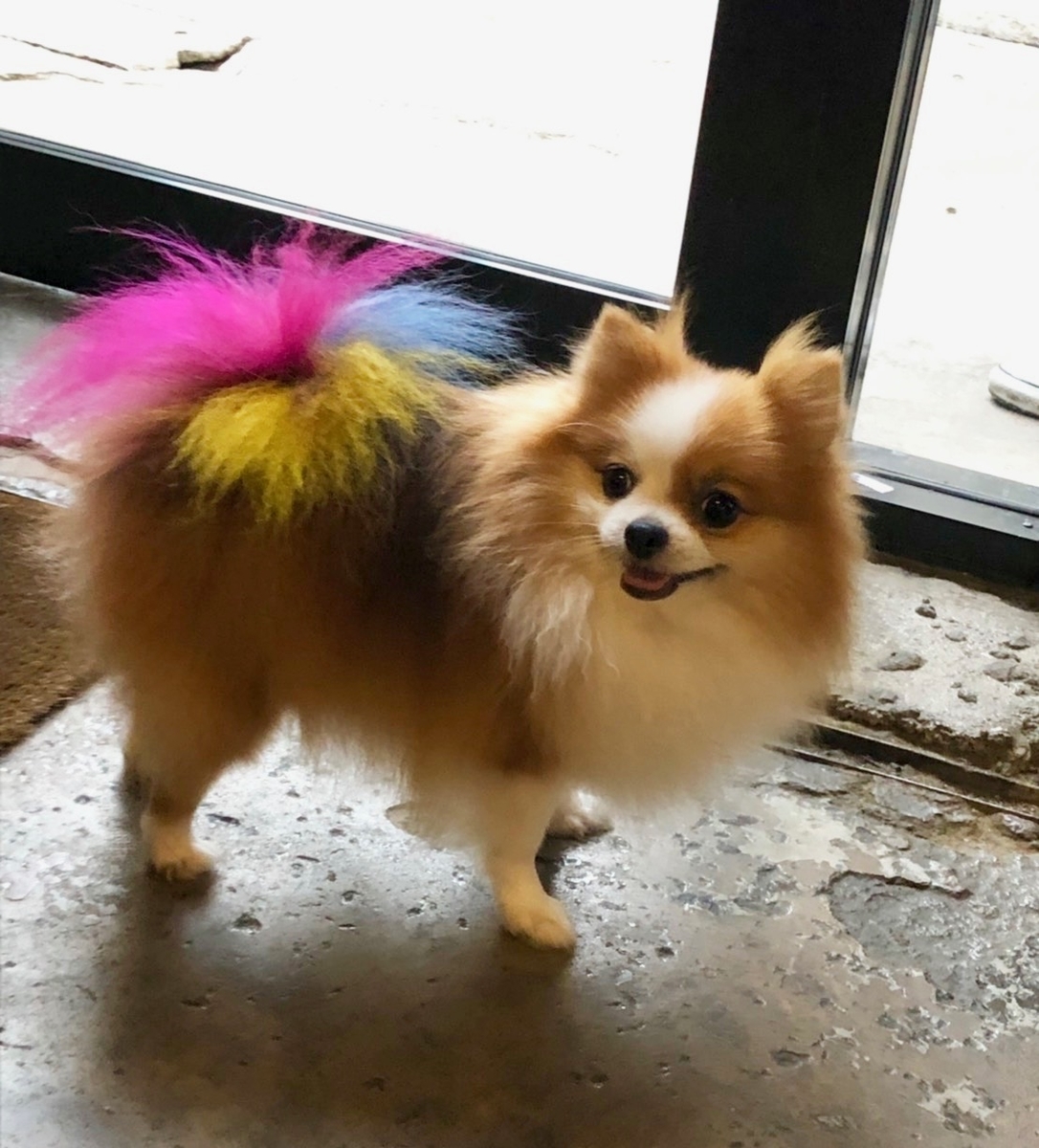 f:id:kuishin-bocchi:20190630022207j:plain f:id:kuishin-bocchi:20190630022207j:plain