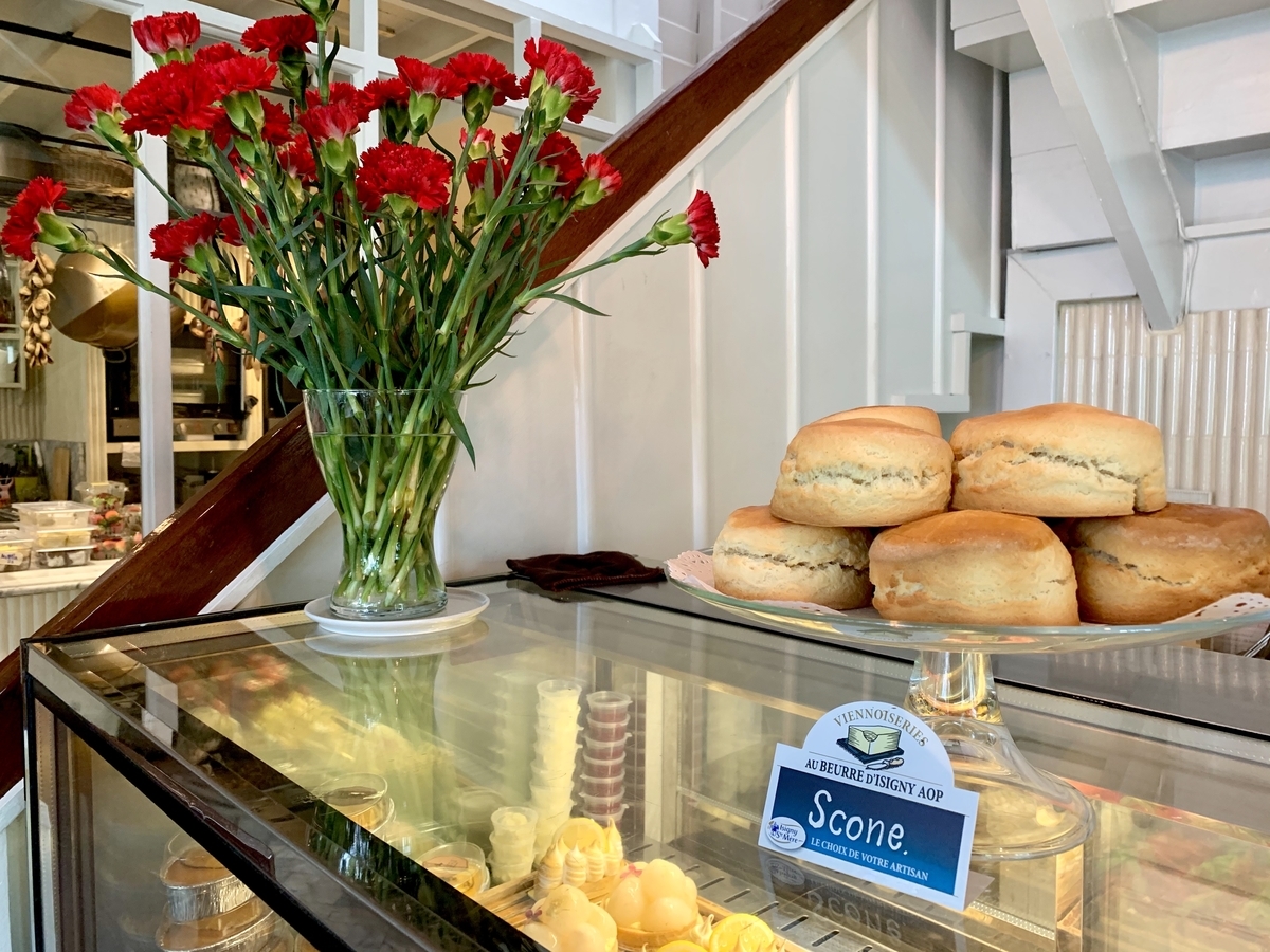 f:id:kuishin-bocchi:20200707025331j:plain f:id:kuishin-bocchi:20200707025331j:plain