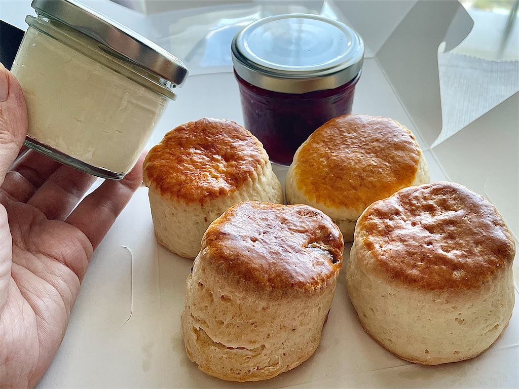 f:id:kuishin-bocchi:20210705205211j:image f:id:kuishin-bocchi:20210705205211j:image