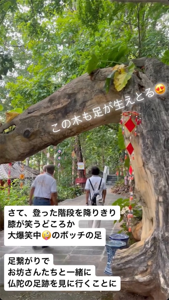 f:id:kuishin-bocchi:20240625010944j:image f:id:kuishin-bocchi:20240625010944j:image