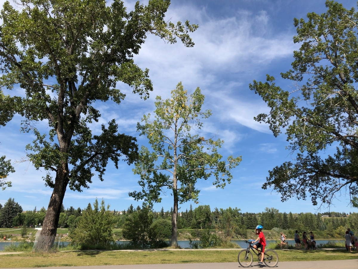 f:id:kuishinbou445:20190823131945j:plain f:id:kuishinbou445:20190823131945j:plain