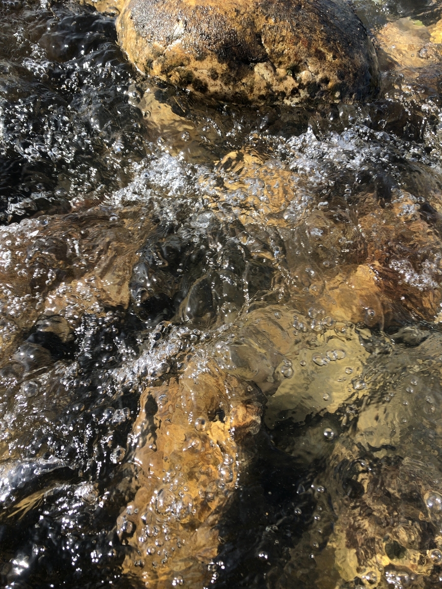 f:id:kuishinbou445:20190823132044j:plain f:id:kuishinbou445:20190823132044j:plain