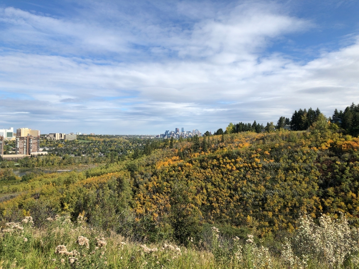 f:id:kuishinbou445:20190924130552j:plain f:id:kuishinbou445:20190924130552j:plain