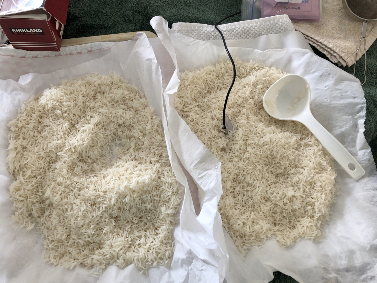 f:id:kuishinbou445:20200313154656j:plain