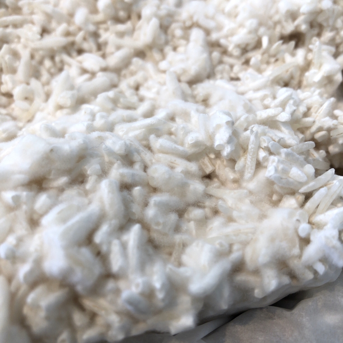 f:id:kuishinbou445:20200315154254j:plain