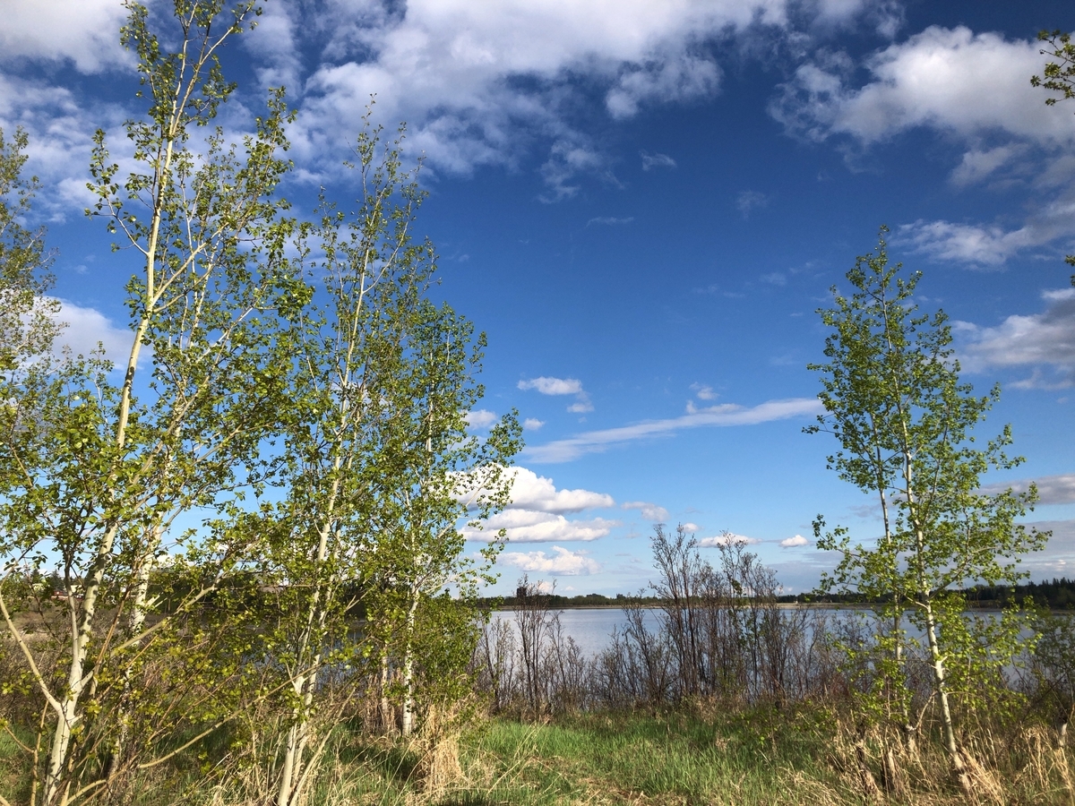 f:id:kuishinbou445:20200525001711j:plain